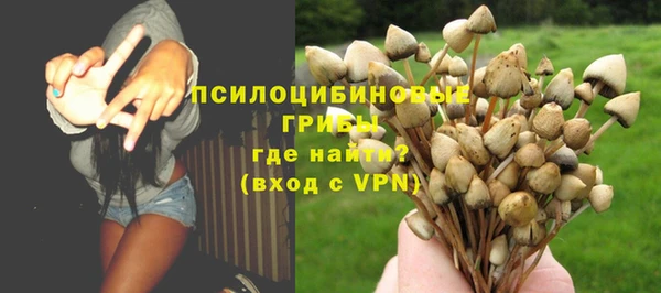 spice Костерёво