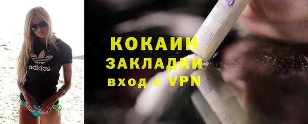 кокс Богородицк