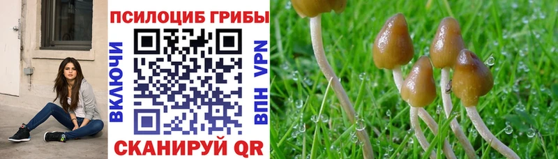 Псилоцибиновые грибы ЛСД Бородино