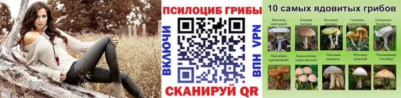 блэк спрут онион  Бородино  Галлюциногенные грибы MAGIC MUSHROOMS 